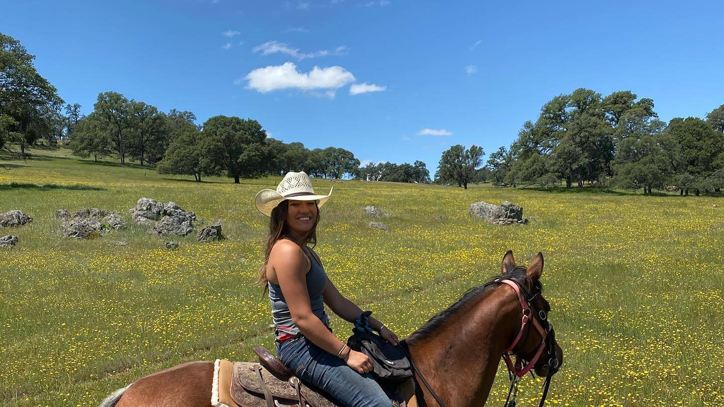 A rider on a bay horse crossing a wildflower meadow on the ridge above Ocean View Stables in Daly City, California