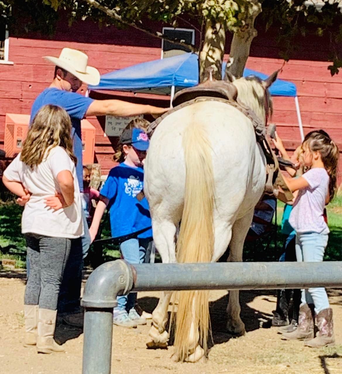 Children gathered at the rail with their hands on a pale horse during a youth session at Ocean View Stables, Daly City